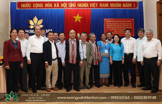 Sâm ngọc Linh Kon Tum được công nhận là "Quốc bảo Việt Nam".