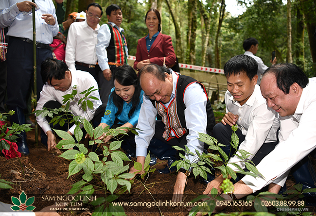 Thủ tướng trồng cây sâm lưu niệm tại vườn sâm. Ảnh: VGP/Quang Hiếu