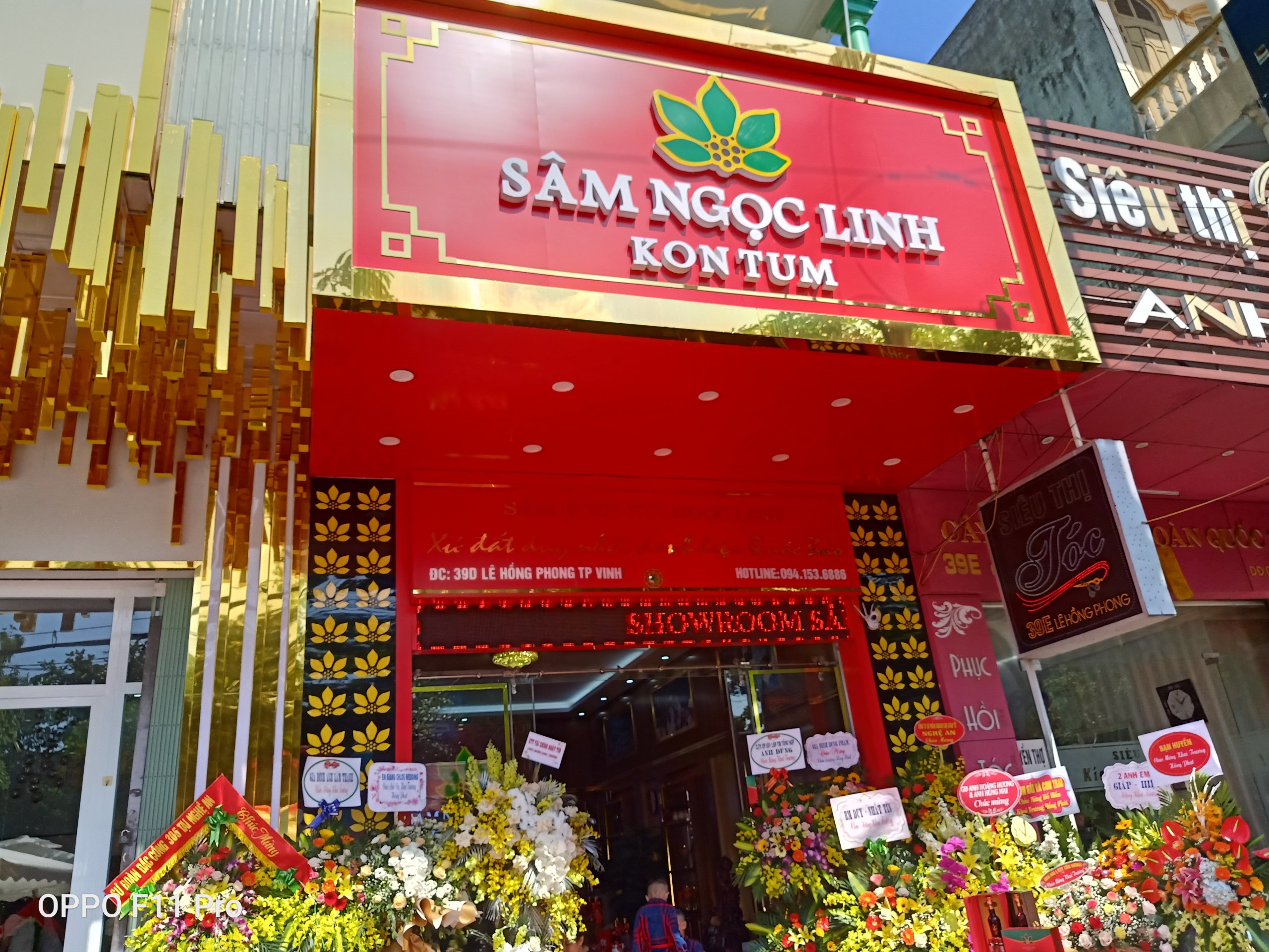 Khai trương showroom Sâm Ngọc Linh tại Nghệ An