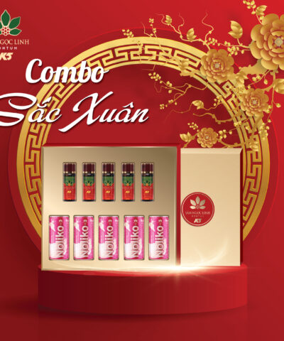 Combo sắc xuân