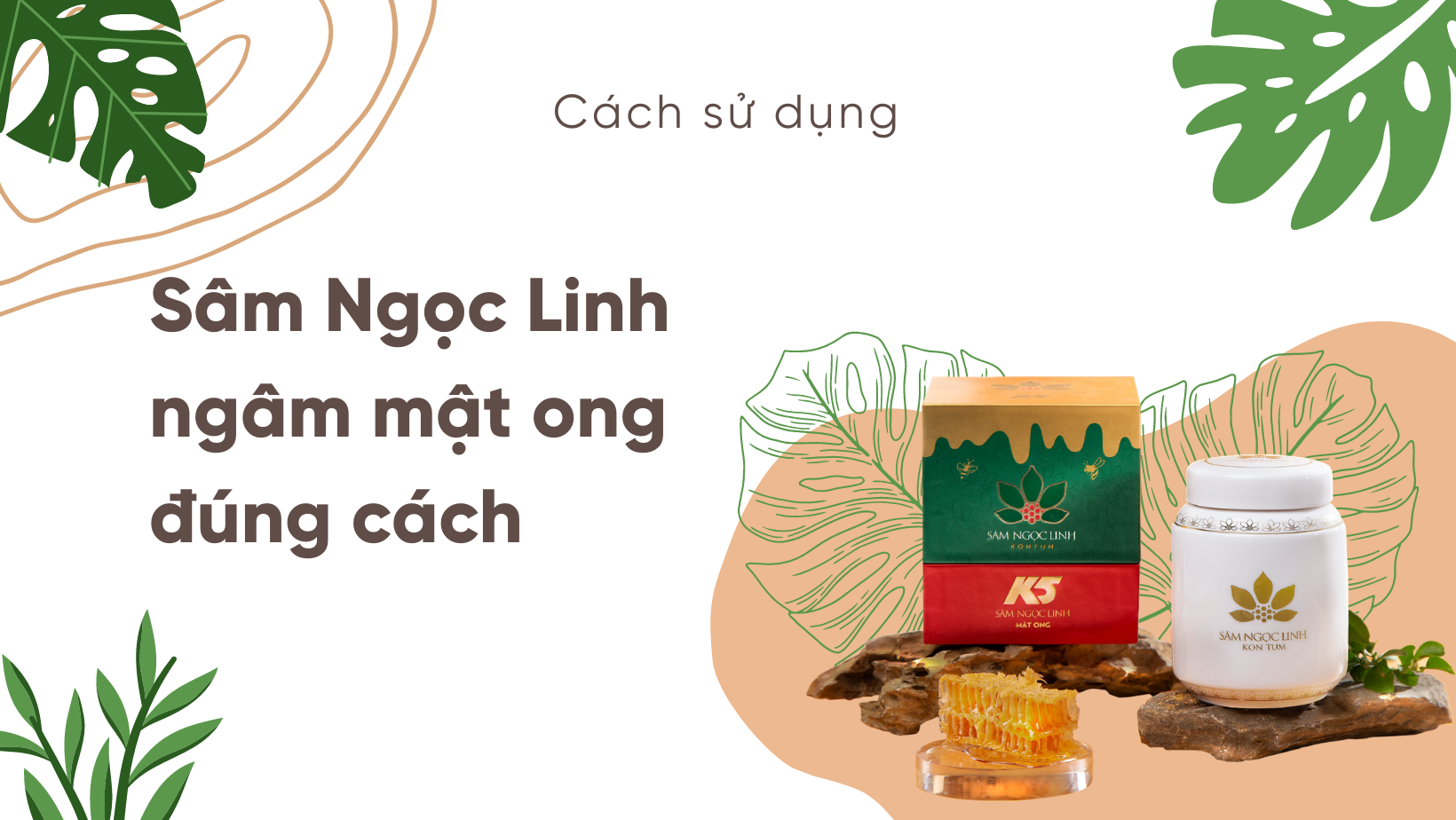 Bi-quyet-de-ngu-ngon-cung-sam-ngoc-linh-ngam-mat-ong-5