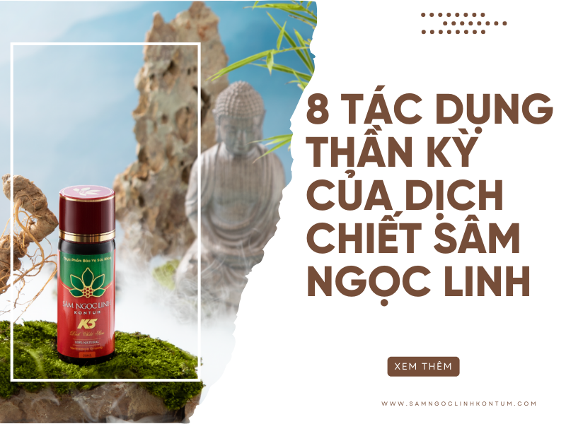 Đừng lơ là điều này khi dùng Dịch chiết Sâm Ngọc Linh (2)