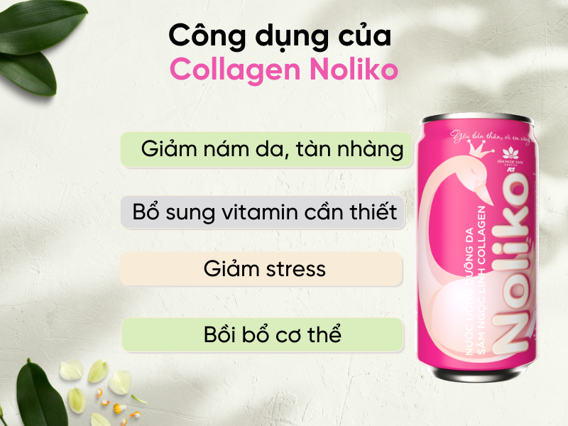 Collagen-Noliko-va-nhung-cong-dung-khong-the-bo-qua (1)