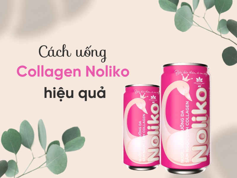 Collagen-Noliko-va-nhung-cong-dung-khong-the-bo-qua (3)