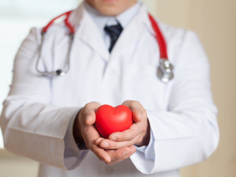 Sâm Ngọc Linh giúp điều hòa hoạt động tim mạch.