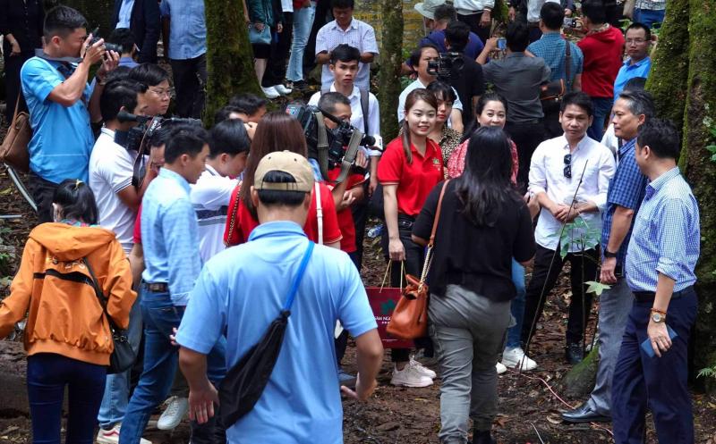 Các nhà khoa học, du khách tham quan vườn sâm Ngọc Linh tại xã Măng Ri, huyên Tu Mơ Rông, tỉnh Kon Tum.