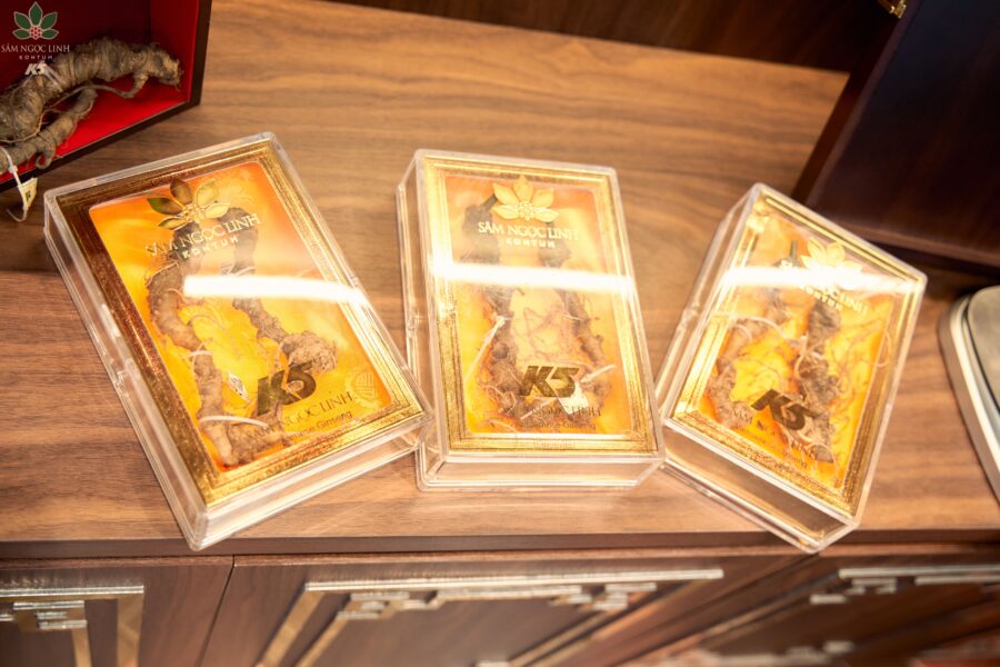 Củ sâm Ngọc Linh quý hiếm