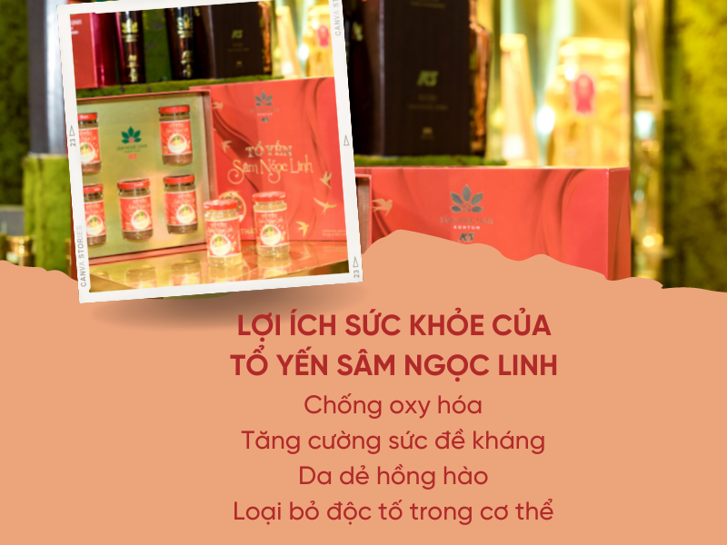 Tổ Yến Sâm Ngọc Linh có nhiều công dụng tuyệt vời cho sức khỏe người tiêu dùng.