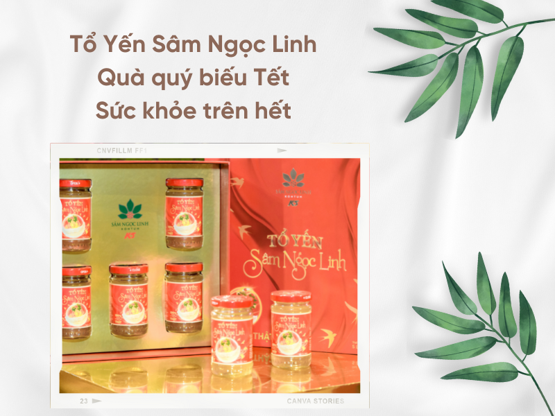 Sâm Yến Sâm Ngọc Linh giúp cải thiện sức khỏe cho người tiêu dùng.