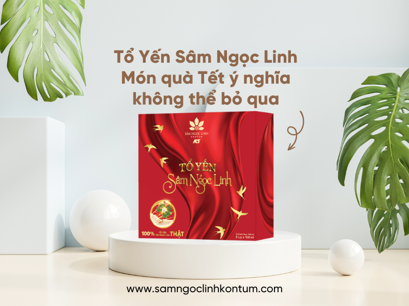 Tổ Yến Sâm Ngọc Linh chưng sẵn: Món quà Tết ý nghĩa không thể bỏ qua