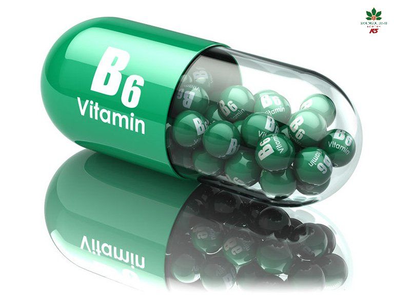 Vitamin B6 giúp tái tạo tế bào da.