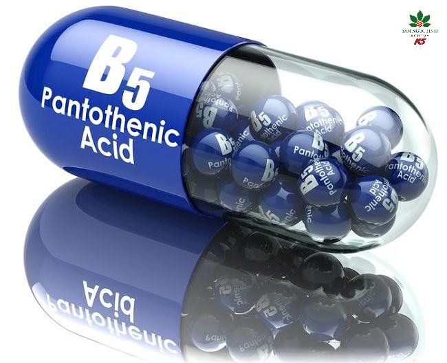 Vitamin B5 giúp cải thiện độ đàn hồi của da.