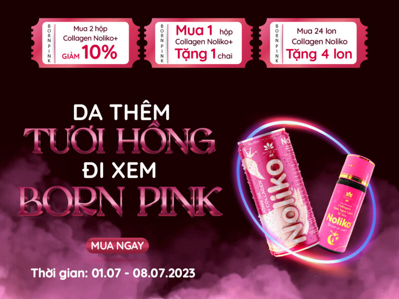 Da thêm tươi hồng, đi xem Born PinK cùng Sâm Ngọc Linh Kon Tum K5