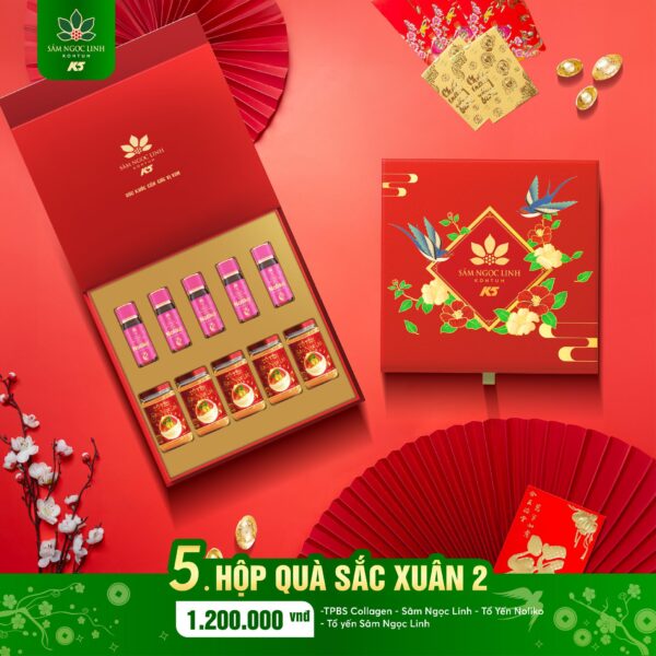 Hộp quà Sắc Xuân 2 – Món quà gửi trao tâm ý đến người thương