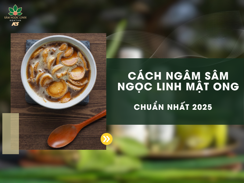 Cách ngâm Sâm Ngọc Linh với mật ong chuẩn nhất 2025