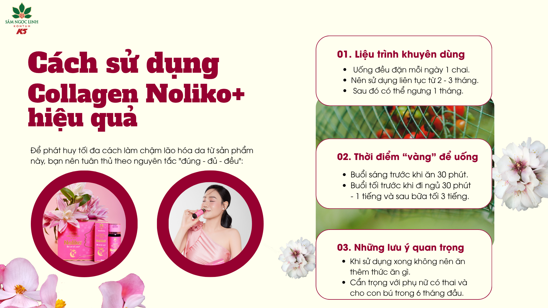 Cách sử dụng Noliko+ mang lại hiệu quả cao.