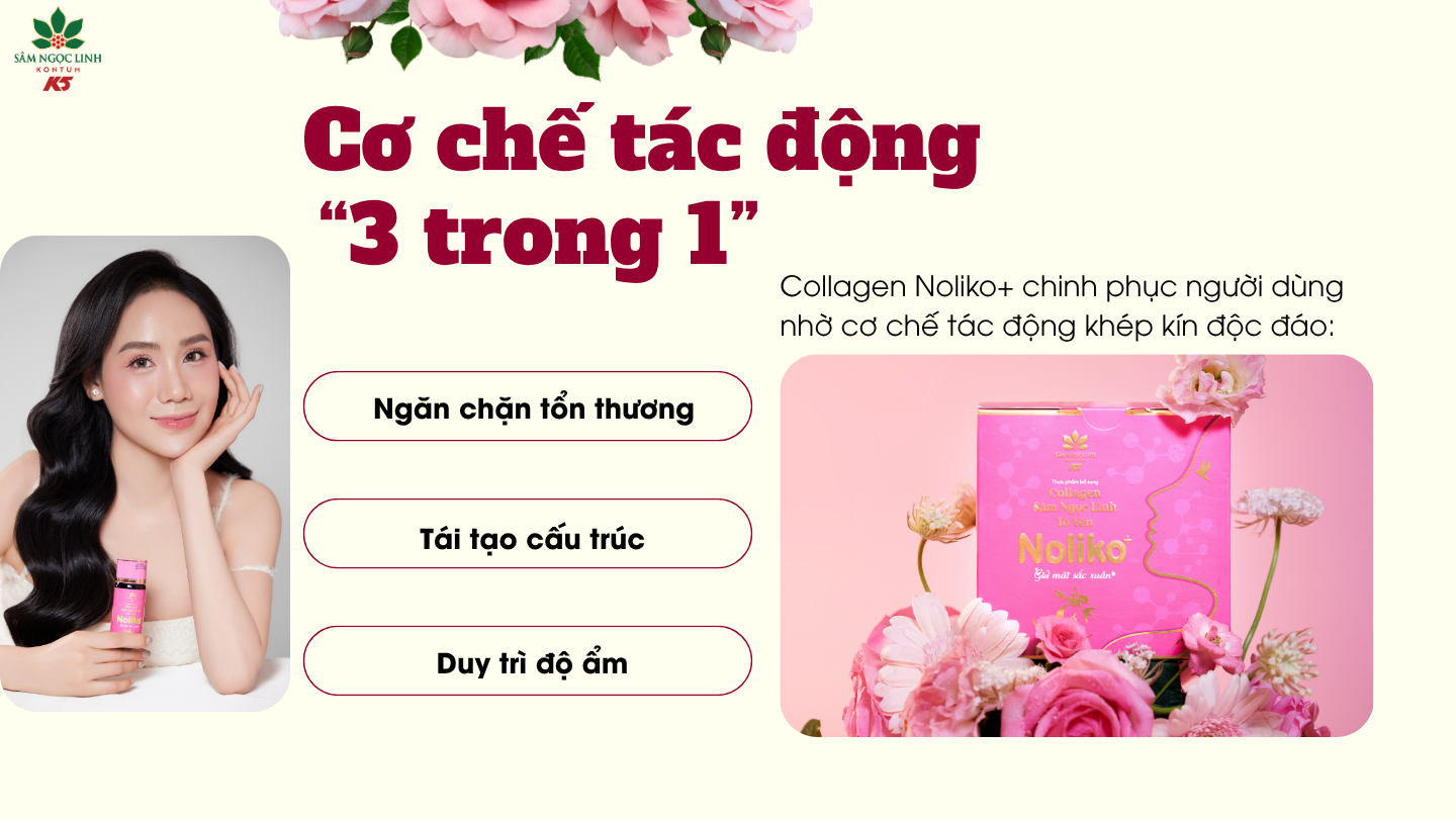 Cơ chế tác động 3 trong 1 của Noliko+.