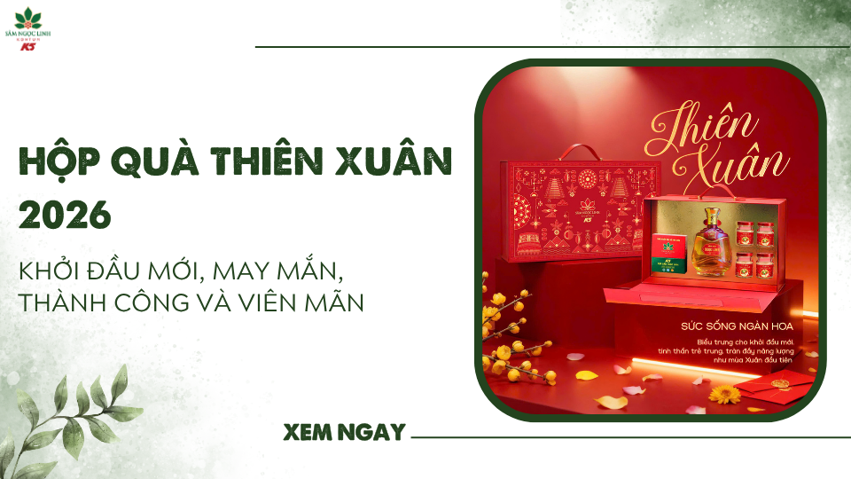 Hộp Quà Thiên Xuân 2026 – Sức sống mới, thành công mới, phúc xuân viên mãn