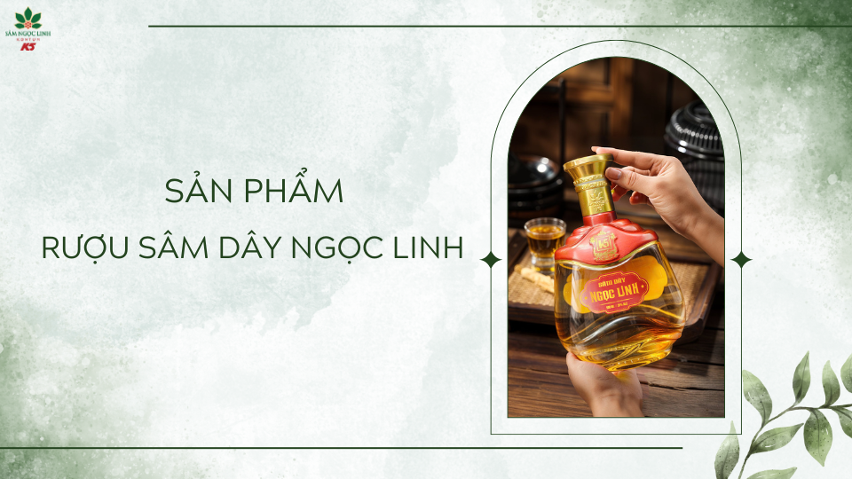 Sản phẩm Rượu Sâm Dây Ngọc Linh.