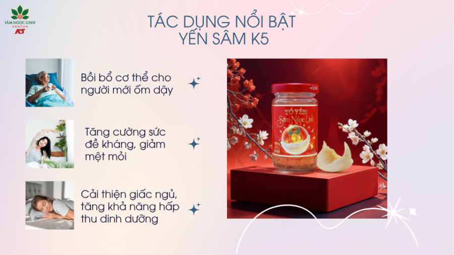 Các dụng nổi bật của Yến Sâm K5 mà bạn không thể bỏ qua.