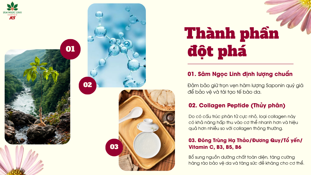 Thành phần đột phá của Noliko+.