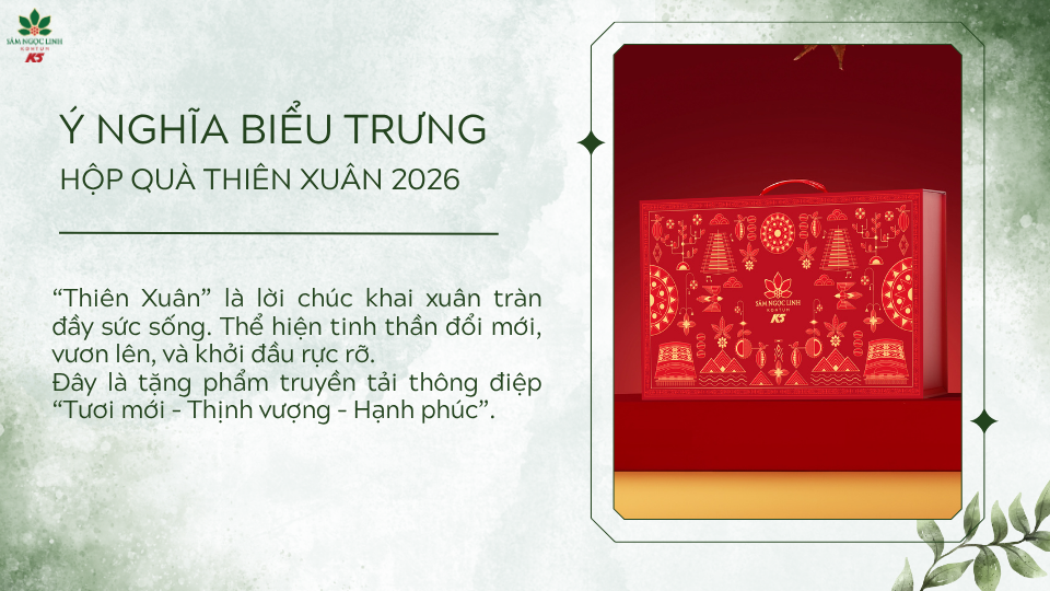 Ý nghĩa biểu trưng của hộp quà Thiên Xuân 2026.