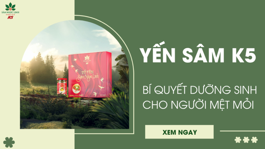 Yến Sâm K5: Bí quyết dưỡng sinh cho người mệt mỏi, suy nhược cơ thể