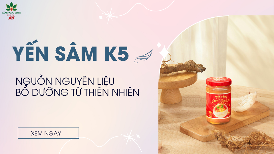 Yến Sâm K5: Nguồn nguyên liệu bổ dưỡng từ tổ yến và sâm Ngọc Linh
