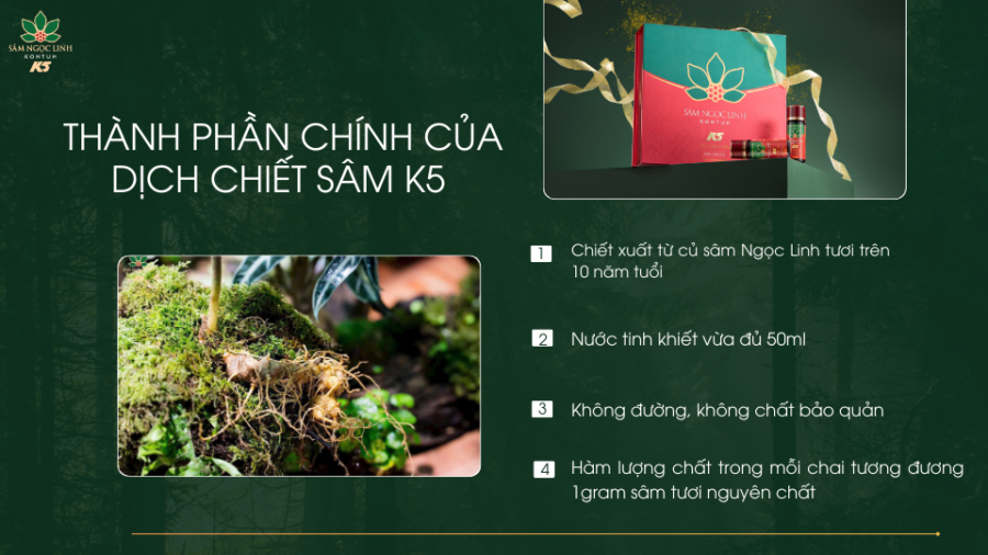 Thành phần chính của dịch chiết sâm K5.