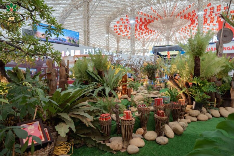 Các chế phẩm sâm Ngọc Linh được trưng bày tại vườn sâm Ngọc Linh thu nhỏ.
