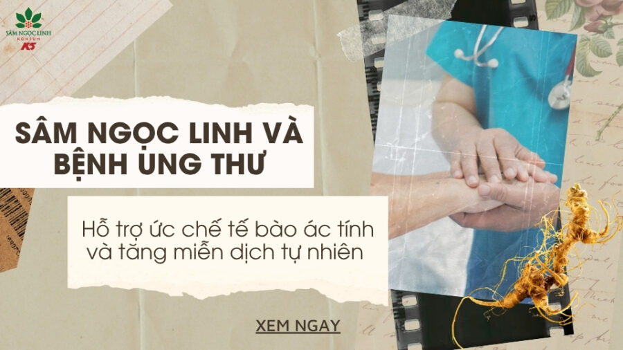 Sâm Ngọc Linh và bệnh ung thư: Hỗ trợ ức chế tế bào ác tính & tăng miễn dịch tự nhiên