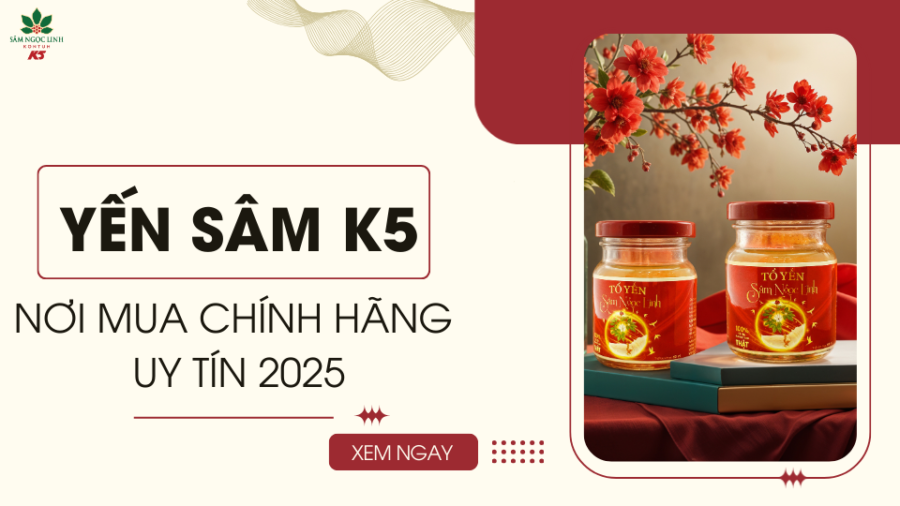 Mua Yến Sâm K5 chính hãng ở đâu? Top địa chỉ uy tín 2025