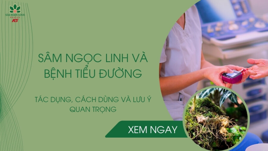 Sâm Ngọc Linh và bệnh tiểu đường: Tác dụng, cách dùng & lưu ý quan trọng