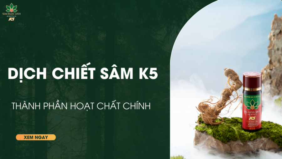 Thành phần hoạt chất chính trong dịch chiết sâm K5
