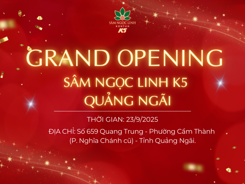 Sâm Ngọc Linh K5 khai trương showroom mới tại Quảng Ngãi: Ưu đãi hấp dẫn - Cơ hội dùng sâm giá hời