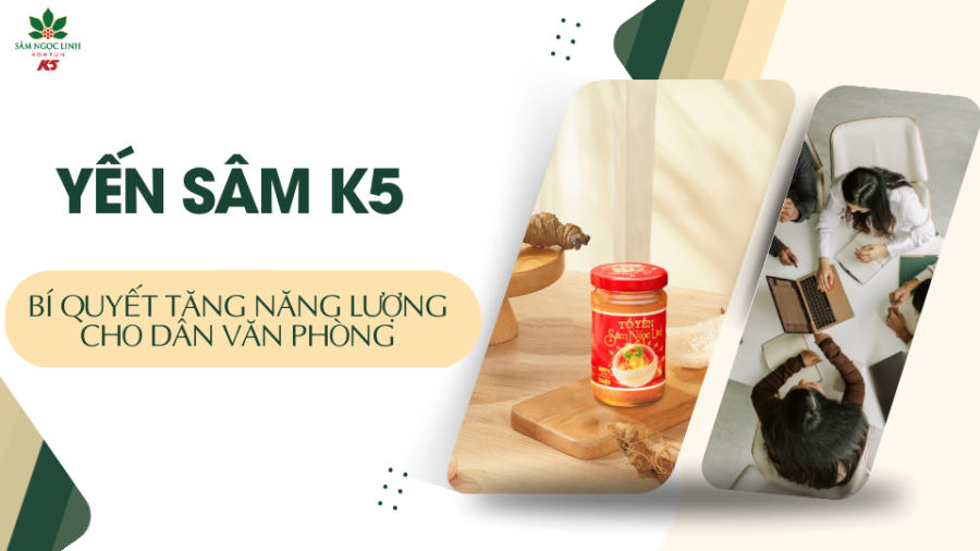 Yến Sâm K5 – Bí quyết tăng năng lượng và tập trung cho dân văn phòng 
