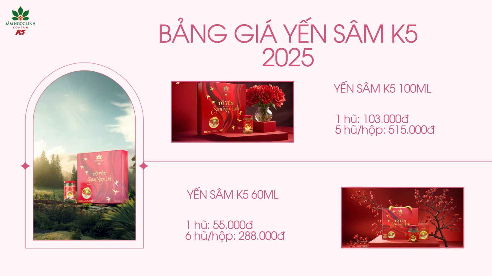 Bảng giá Yến Sâm K5 năm 2025.