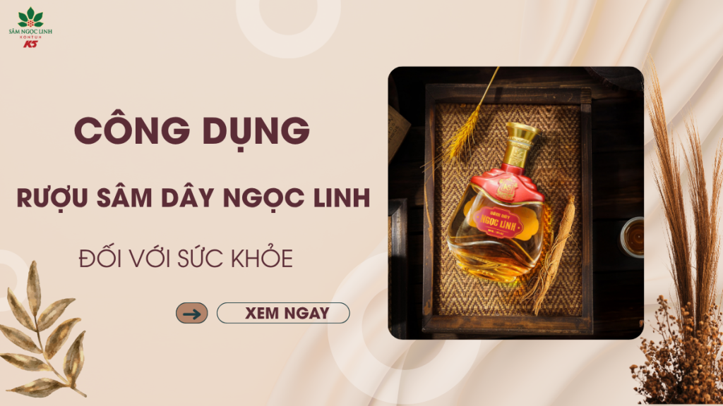 6 công dụng nổi bật của rượu sâm dây Ngọc Linh với sức khỏe