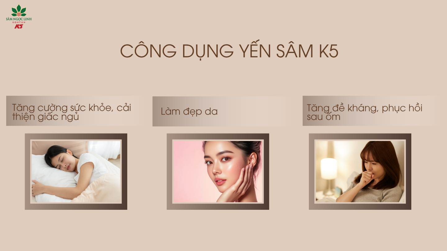 Công dụng của Yến Sâm K5.