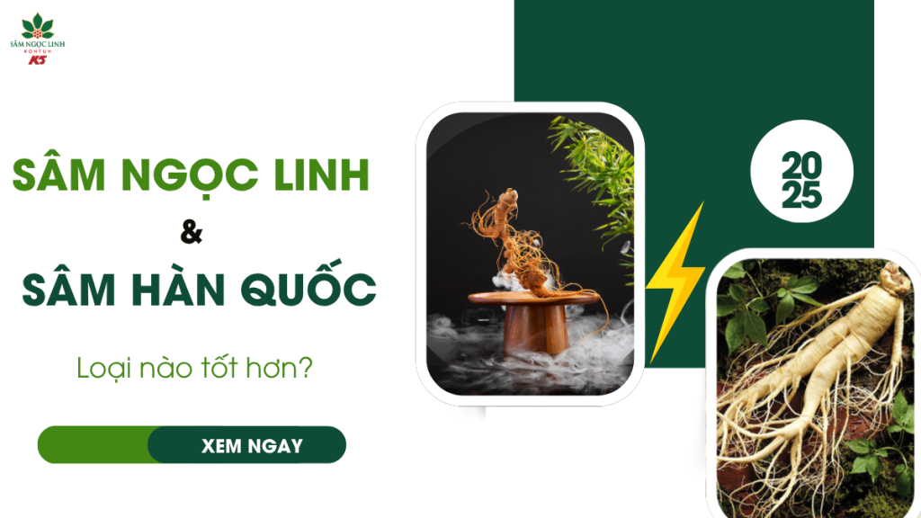 Sự khác biệt giữa sâm Ngọc Linh và sâm Hàn Quốc: Loại nào tốt hơn?