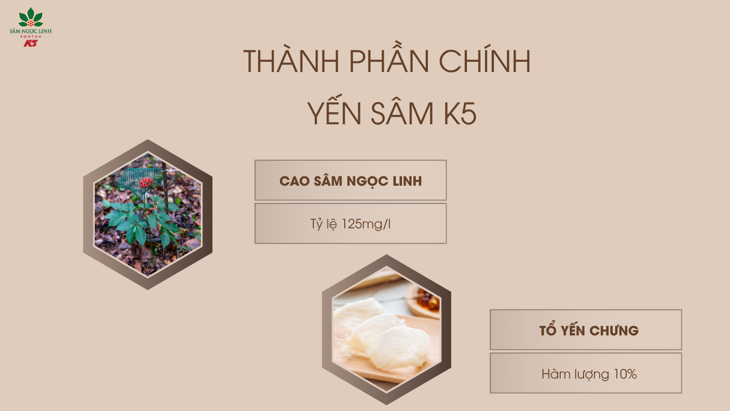 Thành phần chính của Yến Sâm K5.