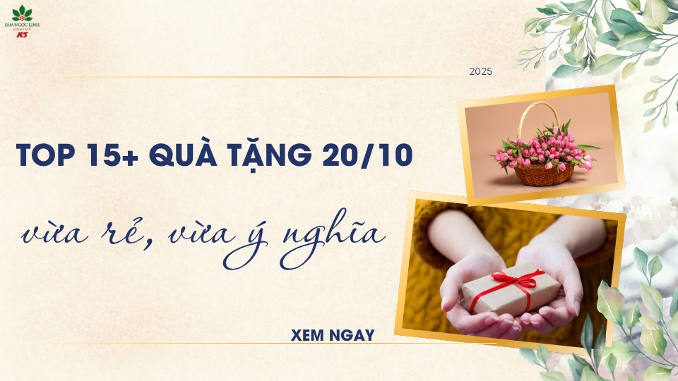 Top 15+ quà tặng 20/10 vừa rẻ vừa ý nghĩa.