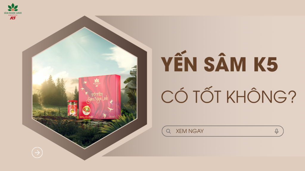 Giải mã Yến Sâm K5 có tốt không? Tại sao nên sử dụng?