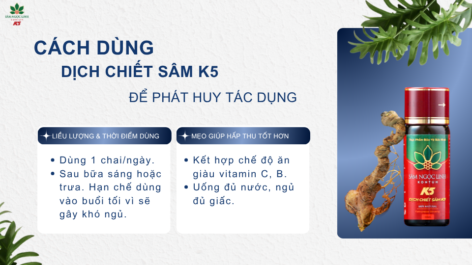 Cách dùng Dịch Chiết Sâm K5 để mang lại hiệu quả.