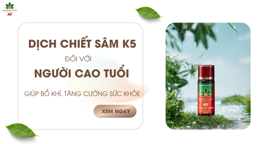 Lợi ích Dịch Chiết Sâm K5 cho người cao tuổi – Bổ khí, tăng sức khỏe toàn diện