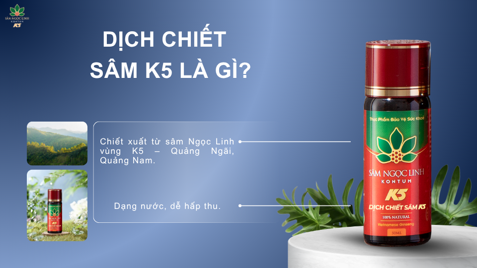 Đôi nét về Dịch Chiết Sâm K5.