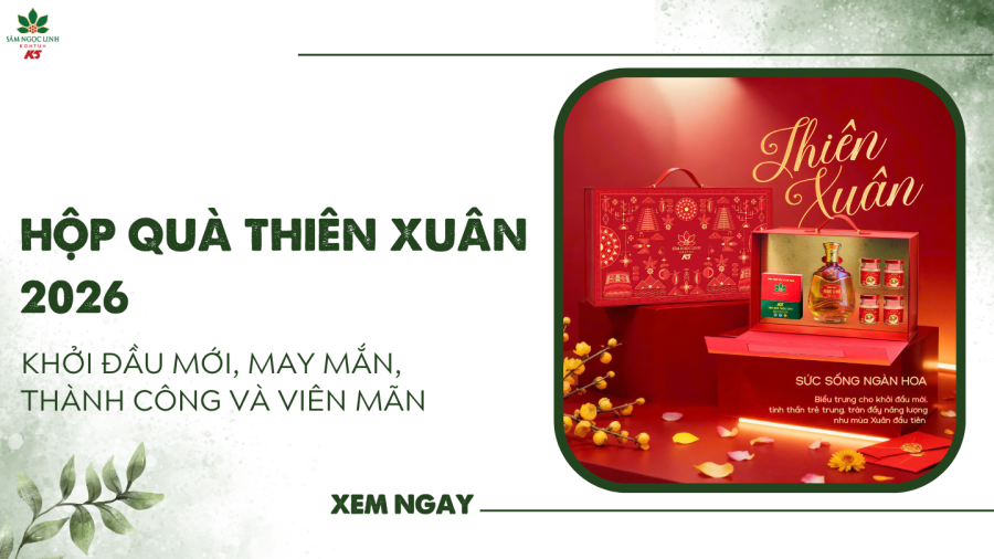 Hộp Quà Thiên Xuân 2026 – Sức sống mới, thành công mới, phúc xuân viên mãn