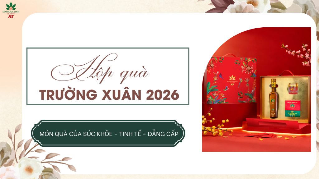 Tinh tế – Sức khỏe – Đẳng cấp: Hộp quà Trường Xuân 2026 dành cho doanh nghiệp