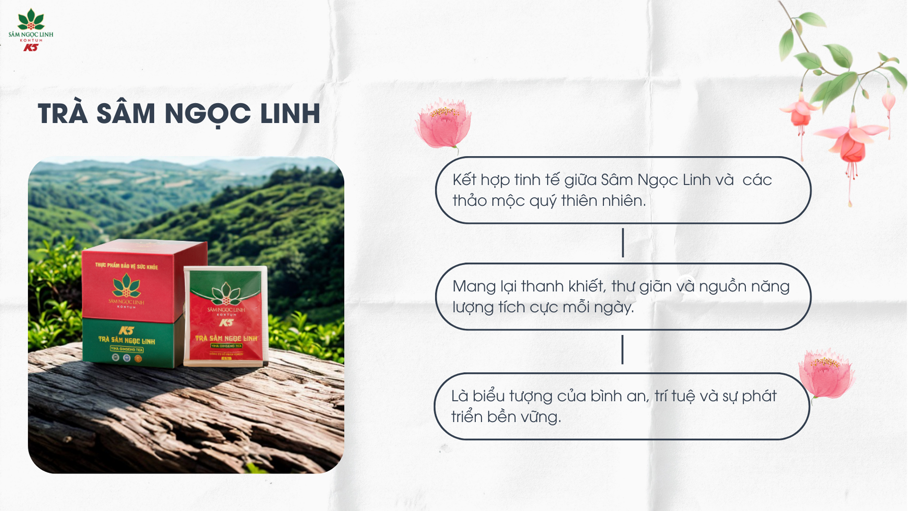 Sản phẩm trà Sâm Ngọc Linh.