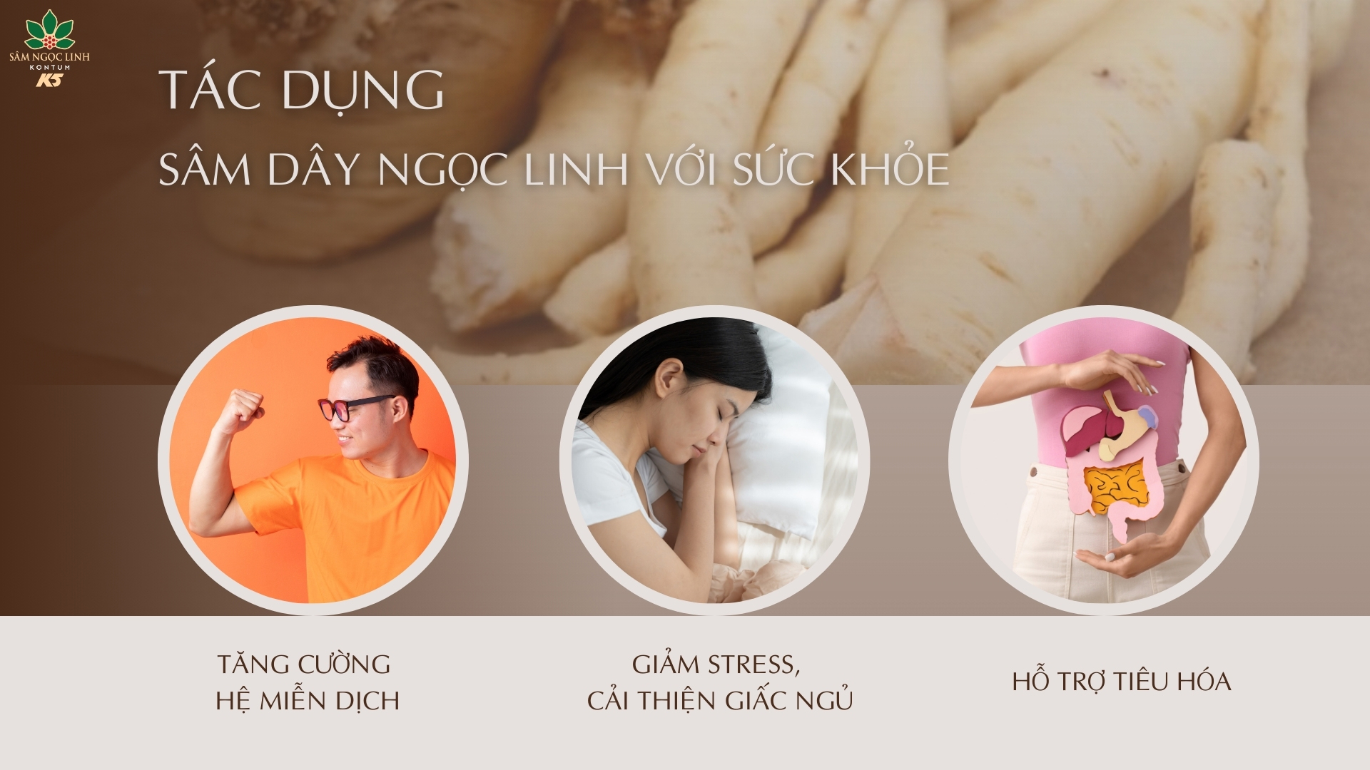 Tác dụng của Sâm Dây Ngọc Linh với sức khỏe người dùng.